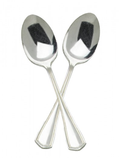 Spoon-Theory-2-393x525.jpg